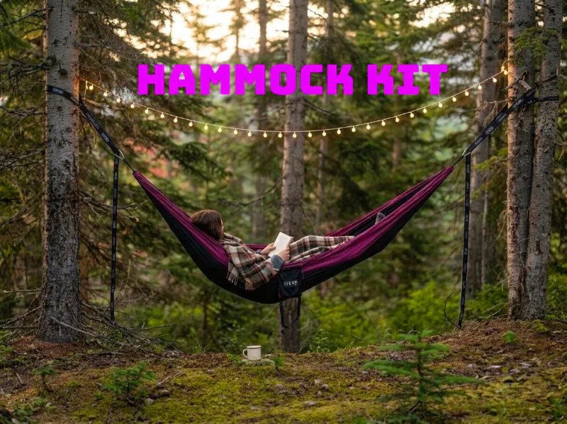A person reading in a purple camping hammock strung between two conifers, with warm string lights hung above and a mug on the moss below